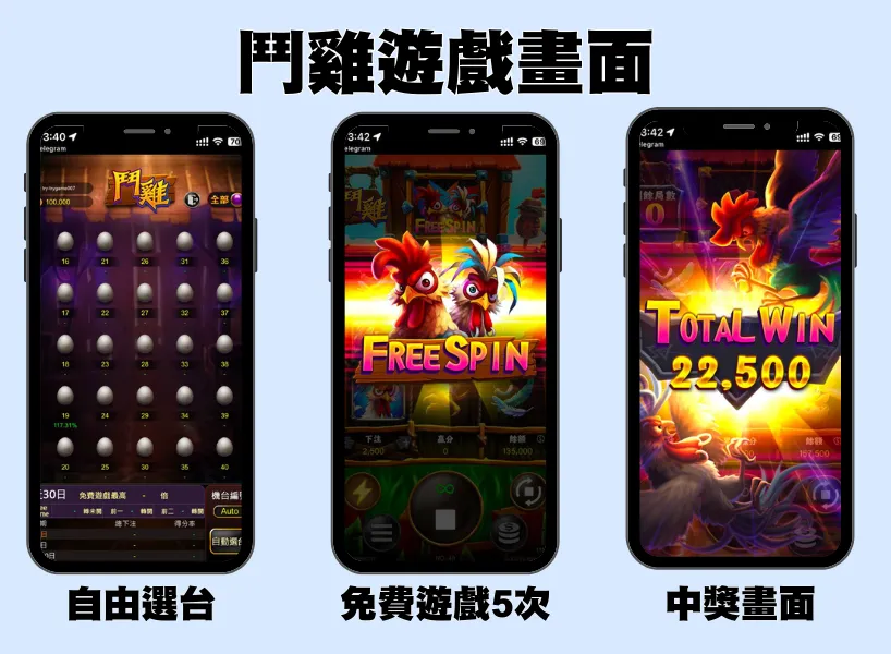 九州娛樂城 RG電子《鬥雞》老虎機遊戲:體驗農場雞舍一直中獎的快感!
